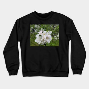 Wet White Tree Flowers 32 Crewneck Sweatshirt